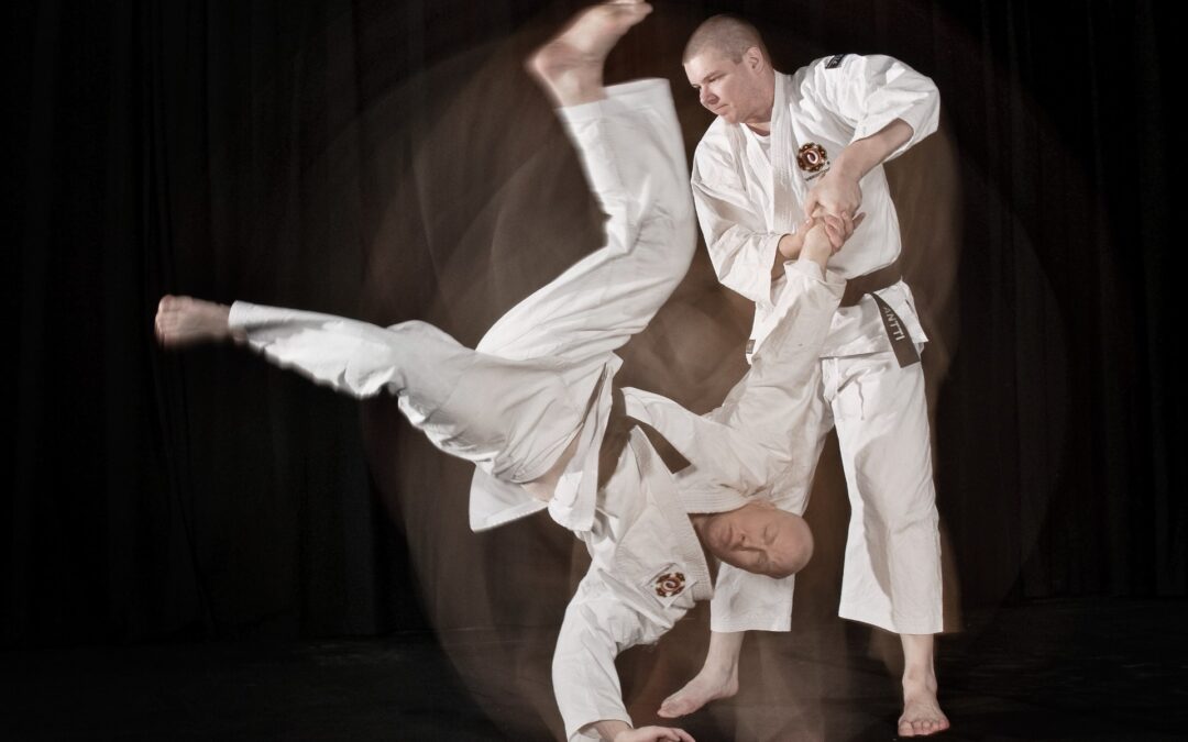 Euroopan Taikai ja WSKO Study session – Berliini 31.7.-3.8.2026 