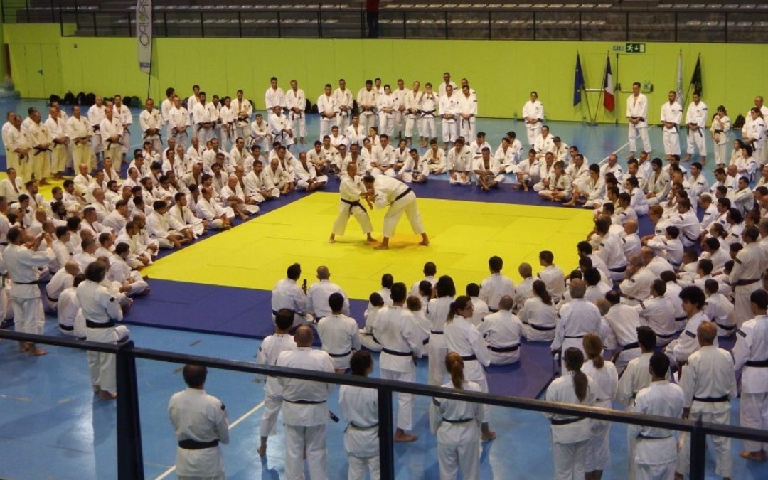 Portugalin Shorinji Kempo -liiton 50 -vuotisleiri, 24.10.2025