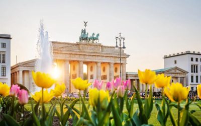 31.7. – 3.8.2026: Berlin European Taikai